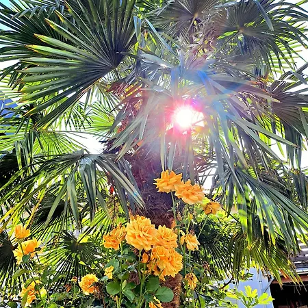 Art Farm I I Naehe Frankfurt I Messe Apartment Schoneck