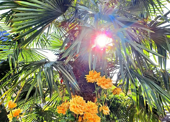 Art Farm I I Naehe Frankfurt I Messe Apartment Schoneck